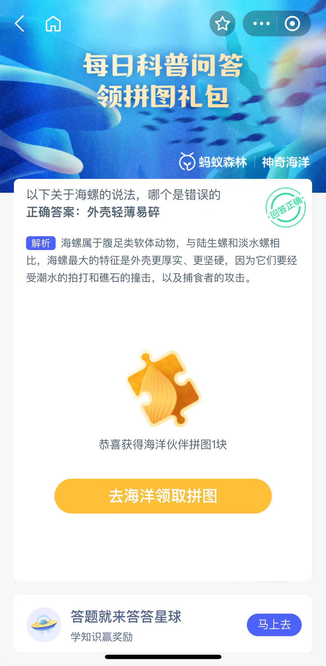 关于海螺说法哪个是错误的