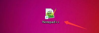 代码编辑器Notepad++设置光标宽度方法