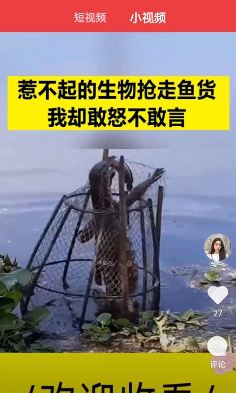 乐乐看app