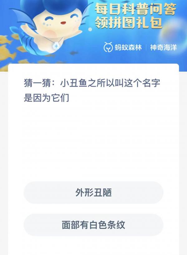 小丑鱼之所以叫这个名字是因为它们