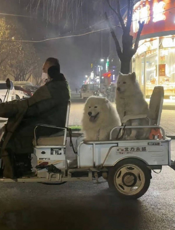 卖萌没有骂街好使囧图无法显示的中指力量削弱