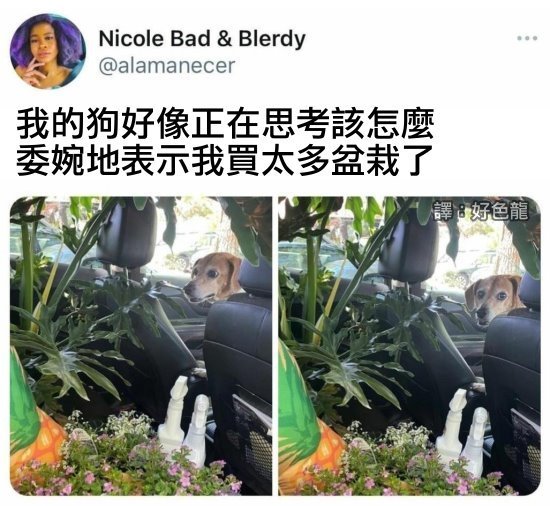 卖萌没有骂街好使囧图无法显示的中指力量削弱