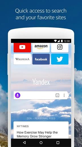 YandexBrowser截图1