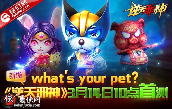 what'syourpet新游逆天邪神玄兽系统首曝