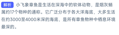 猜一猜可爱的小飞象章鱼通常生活在哪里