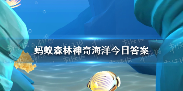 你知道吗人们常见的虾、蟹属于神奇海洋11月18日答案最新