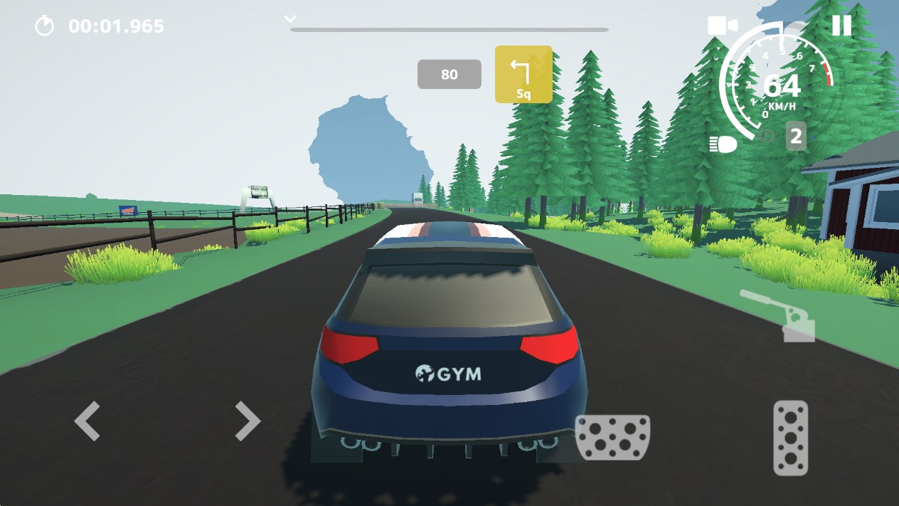 Rally图8