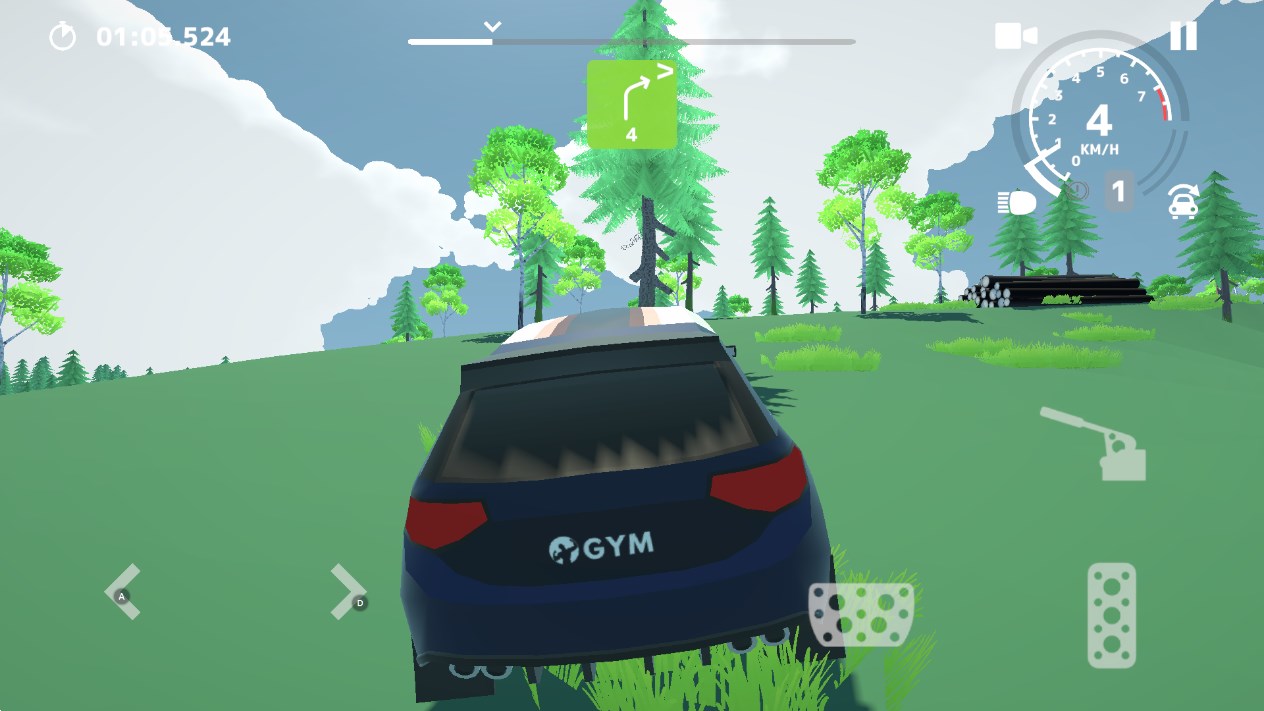 Rally图5