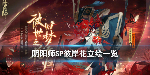 阴阳师新式神SP彼岸花介绍夜溟彼岸花立绘一览