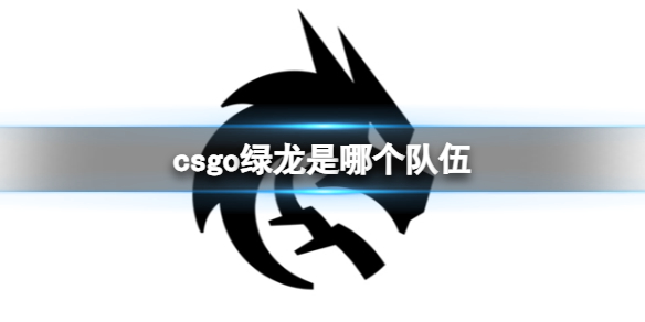 csgo绿龙队伍介绍