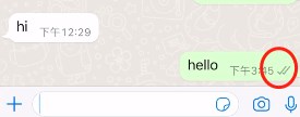 whatsapp一个勾和两个勾的区别发送状态单钩双钩含义介绍