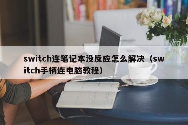 switch连笔记本没反应怎么解决