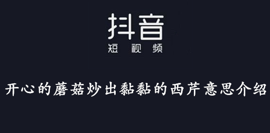 抖音开心的蘑菇炒出黏黏的西芹意思介绍