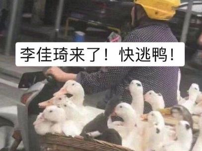 抖音duck不必梗