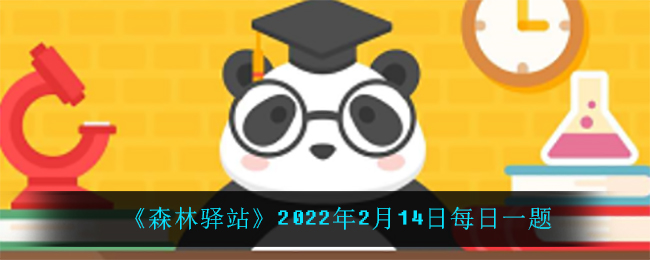 森林驿站2022年2月14日每日一题