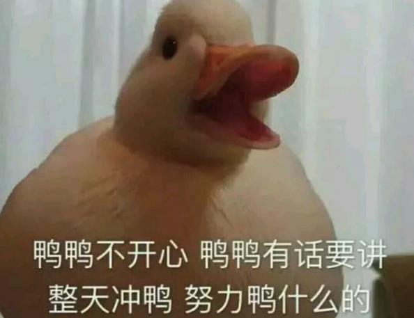 抖音duck不必梗