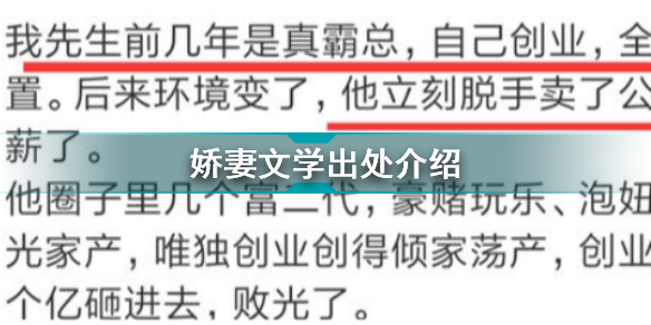 娇妻文学是什么意思娇妻文学出处介绍