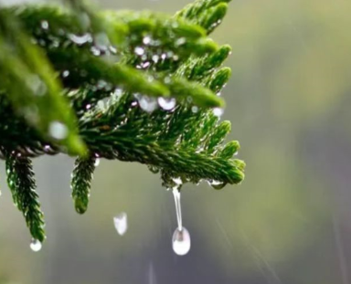 适合下雨天发朋友圈的优美短句雨天静谧的朋友圈文案