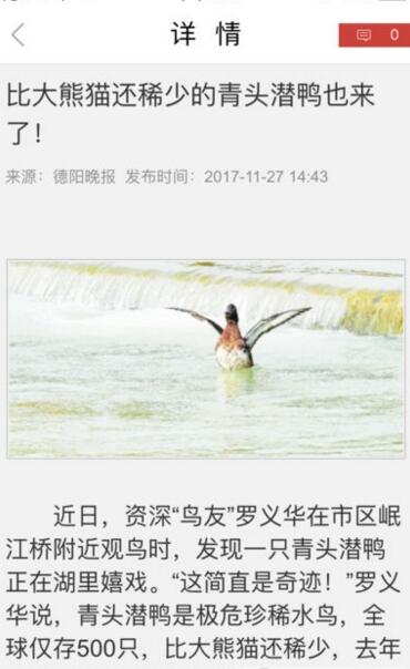 今日德阳截图4