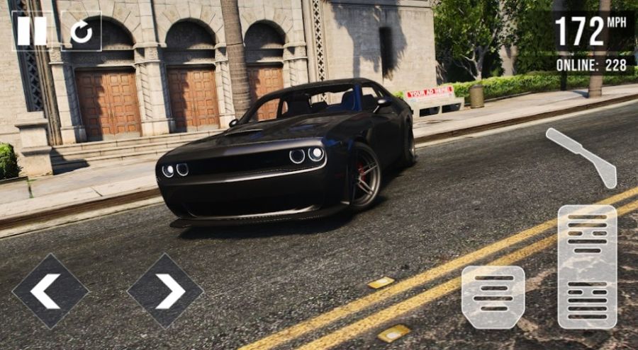 DodgeDrivingGame图3