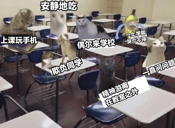 幼儿园小朋友与大学生齐聚一堂囧图高道德水平外星人