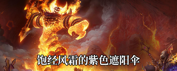 魔兽世界9.0玩具饱经风霜的紫色遮阳伞获得方法