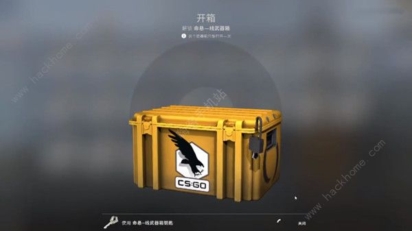 csgo裹脚银翼窟窿是什么裹脚银翼窟窿价格一览