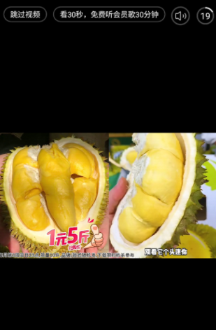 酷狗概念版2.5.5