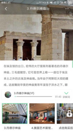 大都会艺术博物馆图5