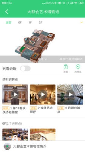 大都会艺术博物馆图4