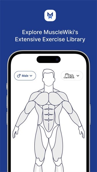 MuscleWiki手机版图7