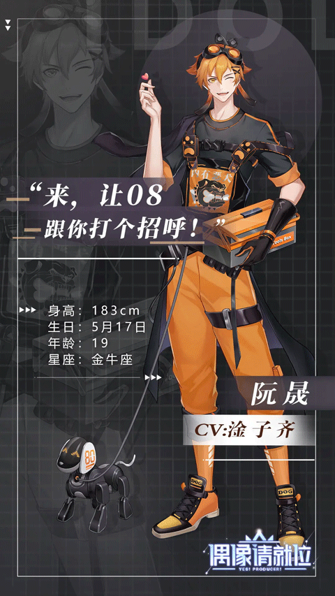 偶像请就位最新版