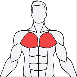 MuscleWiki手机版