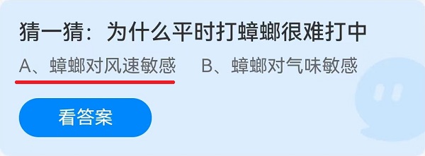 猜一猜：为什么平时打蟑螂很难打中