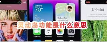 灵动岛功能是什么意思灵动岛功能怎么设置