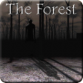 Slendrina:TheForest