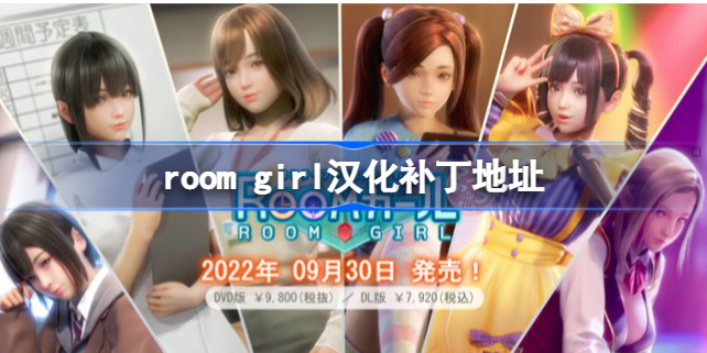 roomgirl汉化补丁下载