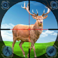 DeerHunterShootingGame