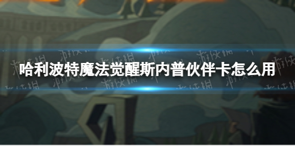 哈利波特魔法觉醒斯内普伙伴卡怎么用斯内普伙伴卡技能一览