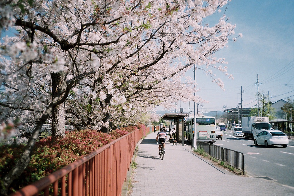 复古魅力来袭！Rollei35AF胶片相机官图亮相