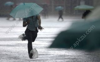 抖音下雨天我们一起去跑步是什么歌一起去跑步歌词介绍