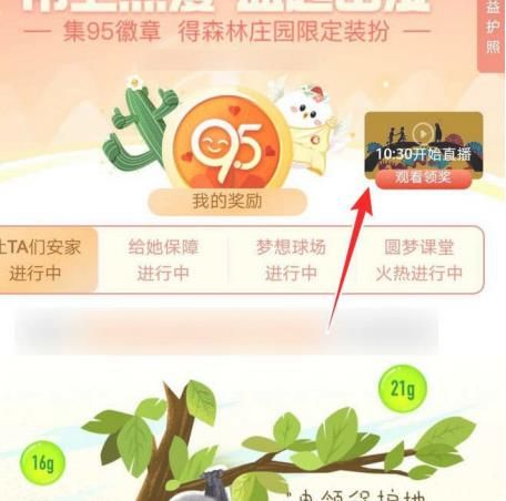 支付宝95公益周活动怎么获取能量保护罩