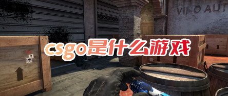 csgo是什么游戏csgo是吃鸡吗在哪玩