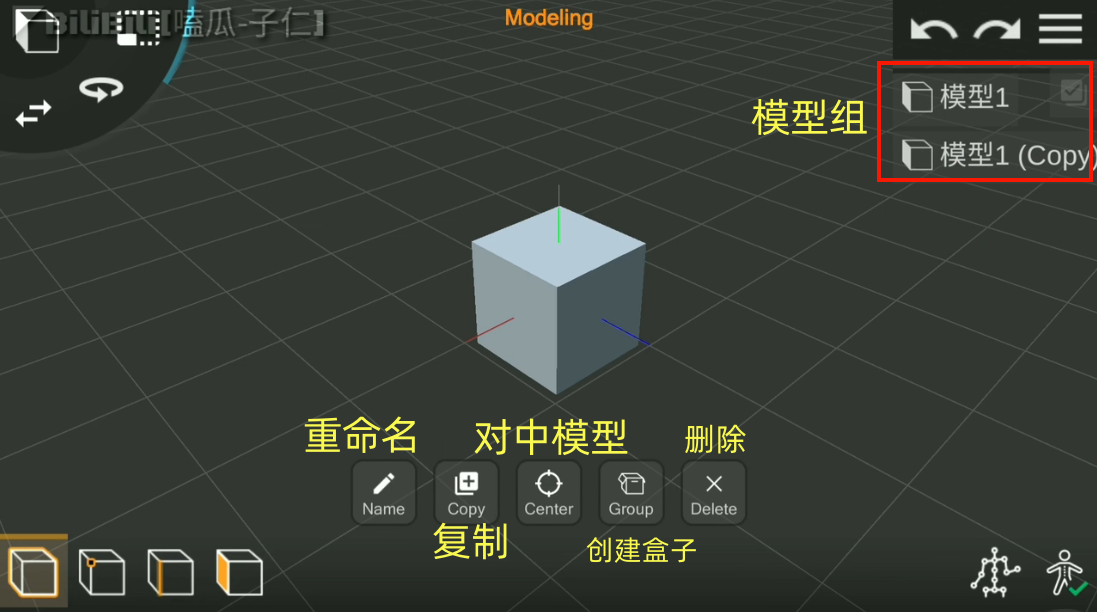 PriSma3D软件