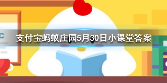 吃的零食西瓜子是西瓜里的籽吗-蚂蚁庄园今日答案5月28日