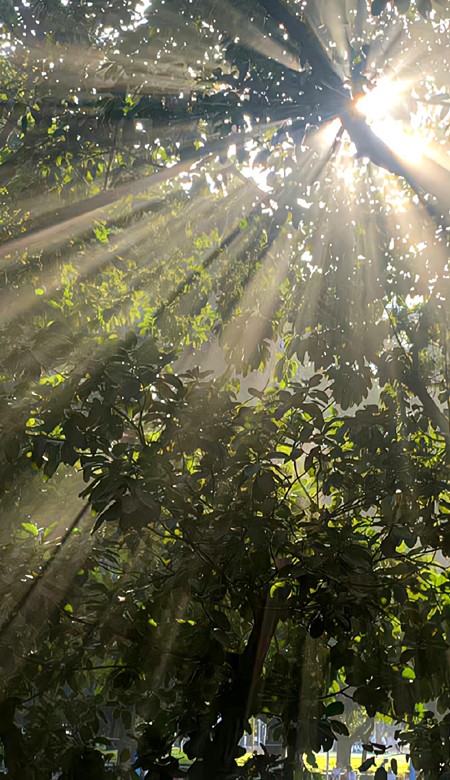 超心水夏日锁屏壁纸给人清凉舒适感觉的壁纸