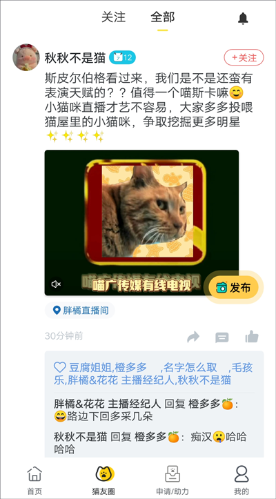 街猫app