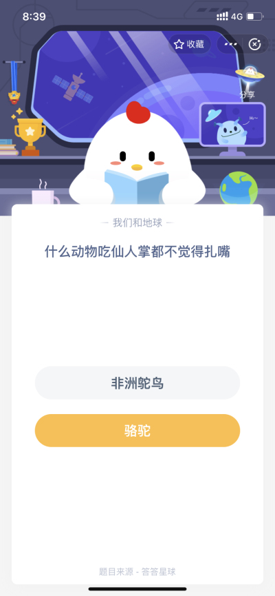 什么动物吃仙人掌都不觉得扎嘴