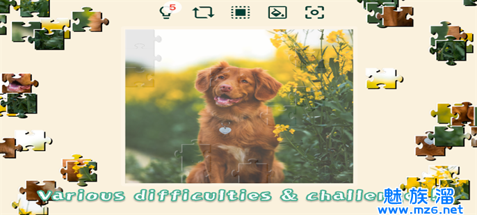 宠物狗狗的拼图挑战截图1