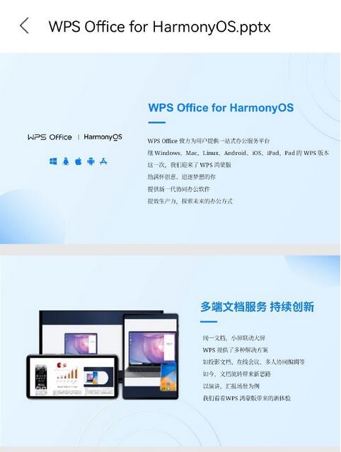 WPSHarmonyOS版上线服务中心